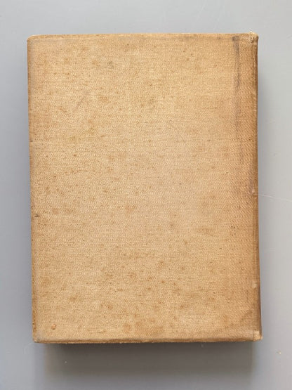 Álbum fototípich de la Catedral de Barcelona - Estampa de Lluís Tasso Serra, 1888