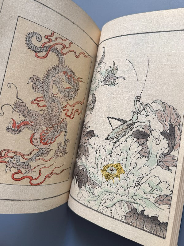 Japón. Libro de diseños japoneses, xilografía. Vol. I y V - periodo Meiji o Taisho