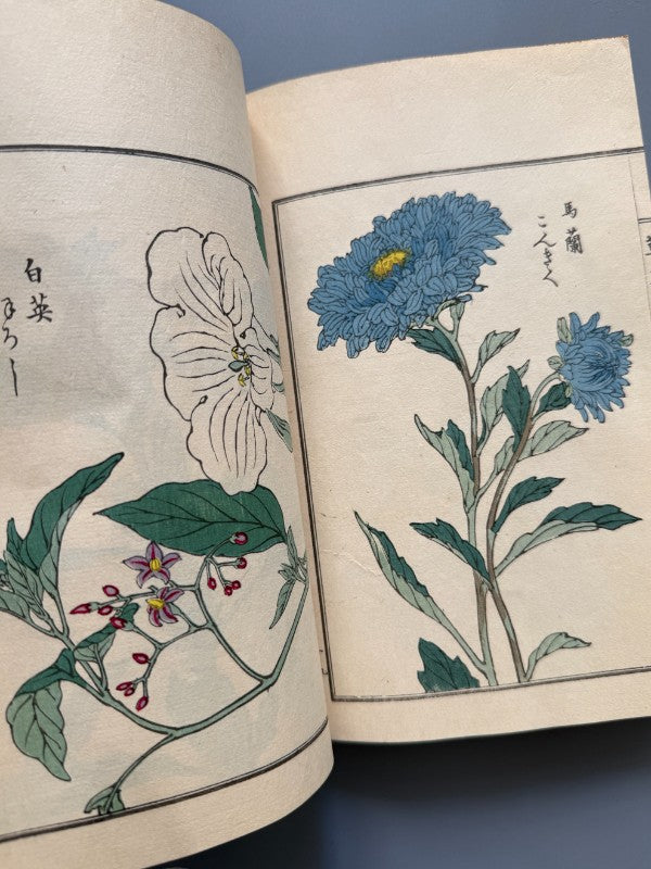 Japón. Libro de diseños japoneses, xilografía. Vol. I y V - periodo Meiji o Taisho