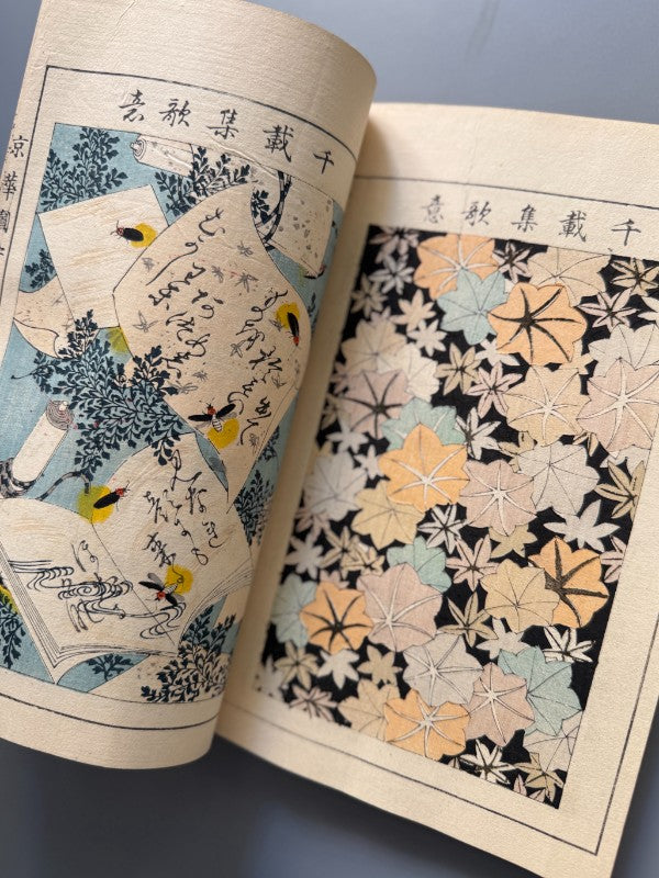 Japón. Libro de diseños japoneses, xilografía. Vol. I y V - periodo Meiji o Taisho