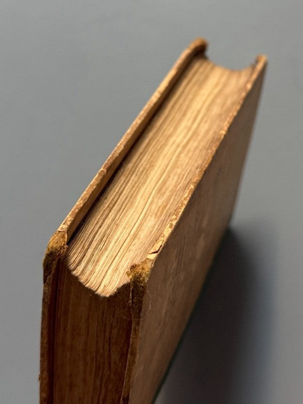 La vida de Llatzer de Tormes, Diego Hurtado de Mendoza (1ª ed. cat.) - Barcelona, 1892