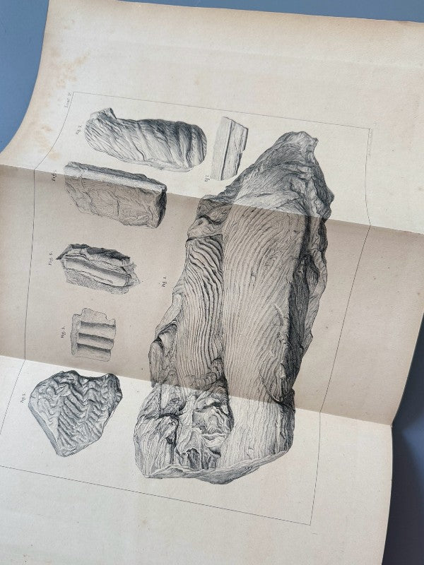 Descripción física y geológica de la provincia de Madrid, Casiano de Prado - Imprenta Nacional, 1864