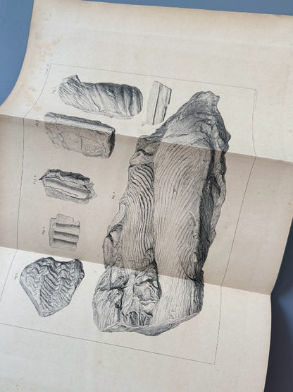 Descripción física y geológica de la provincia de Madrid, Casiano de Prado - Imprenta Nacional, 1864