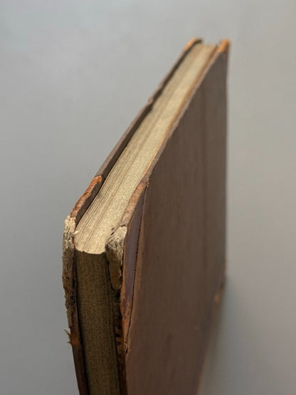 Descripción física y geológica de la provincia de Madrid, Casiano de Prado - Imprenta Nacional, 1864