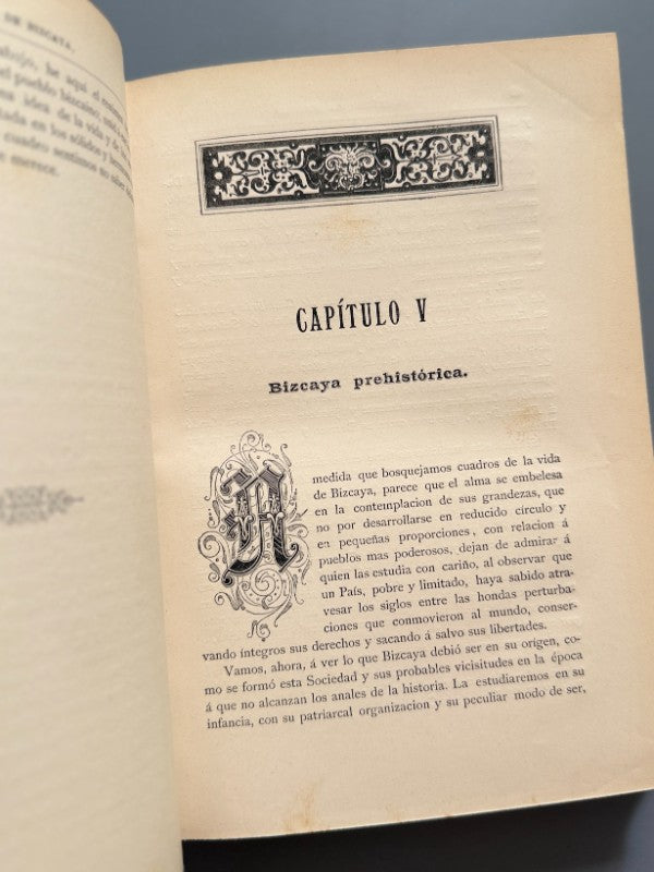 El señorío de Bizcaya, Arístides Artiñano y Zuricalday - Editorial La Peninsular, 1885