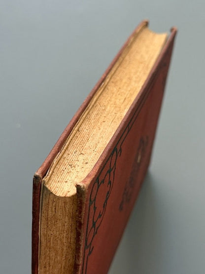 Vida portentosa de la Virgen Santa Rosa de Lima - Librería y Tipografía Católica, 1886