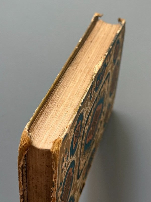 Firmin ou Le jeune voyageur en Égypte, M. de Marlès - Alfred Mame et Fils, 1865