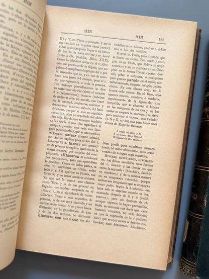 Diccionario de chilenismos y de otras voces y locuciones viciosas, Manuel Antonio Román - 1901-1918