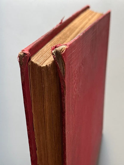 La Mosca Roja, periódico político joco-serio - Texidó y Parera, 1881-1884 - Antigularia (detalle 13)