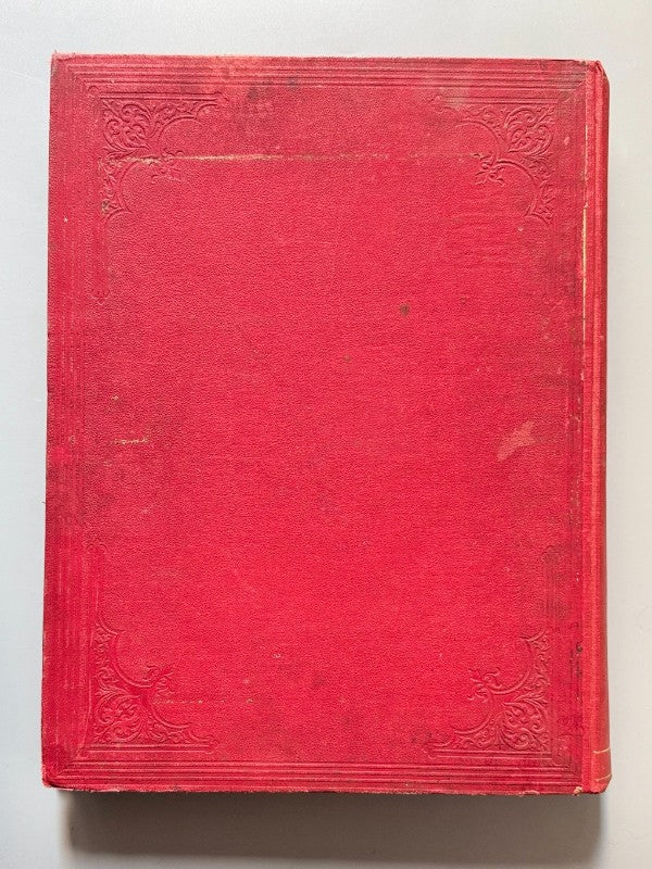 La Mosca Roja, periódico político joco-serio - Texidó y Parera, 1881-1884 - Antigularia (detalle 14)