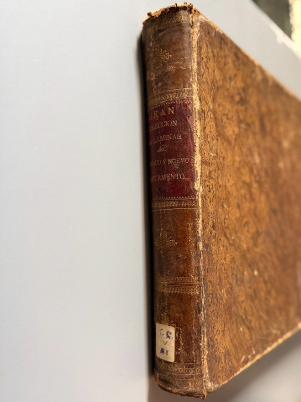 Gran colección de láminas del Antiguo y Nuevo Testamento, Julio Schnorr - Faustino Paluzie, 1876