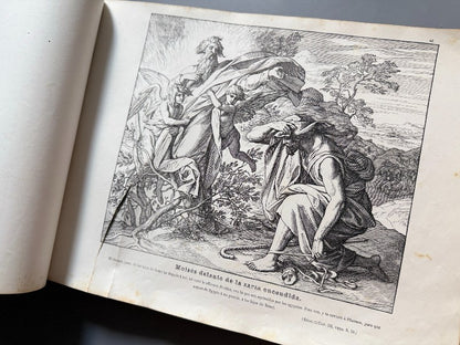 Gran colección de láminas del Antiguo y Nuevo Testamento, Julio Schnorr - Faustino Paluzie, 1876