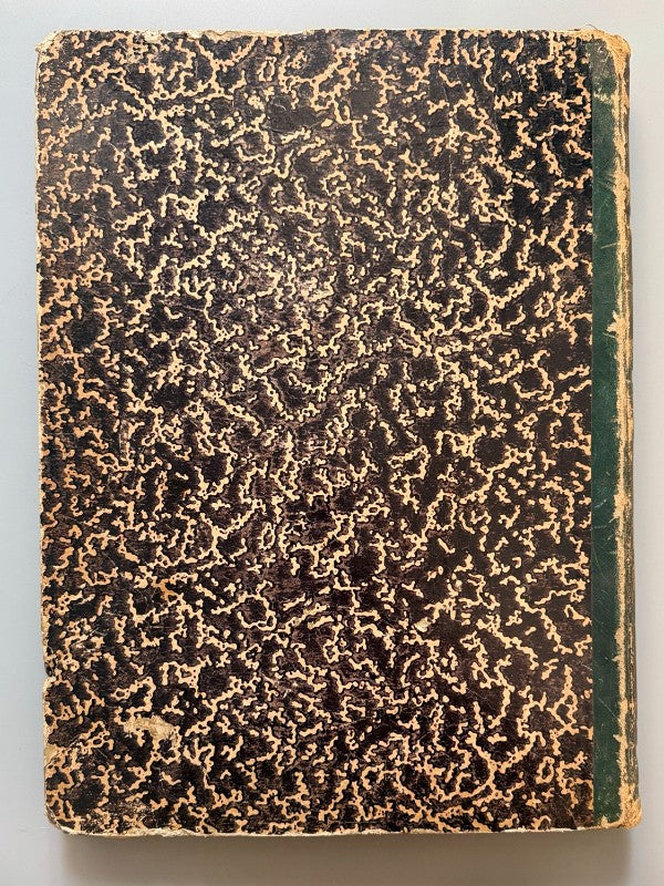 Rigoleto: Periódico Progresisto. Segunda época (144 números) -  1882-1883