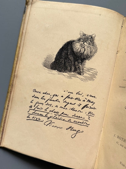 Les chats, Champleury - J. Rothschild Éditeur, 1870