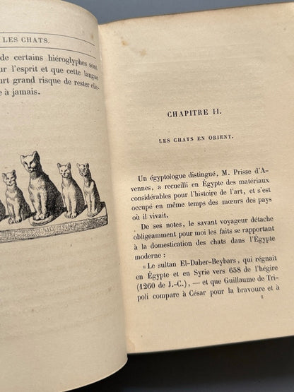 Les chats, Champleury - J. Rothschild Éditeur, 1870