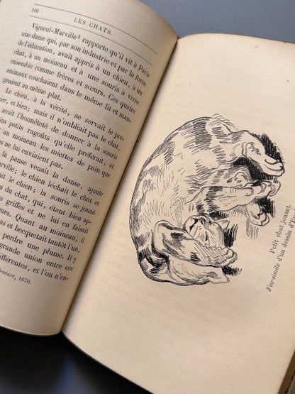 Les chats, Champleury - J. Rothschild Éditeur, 1870