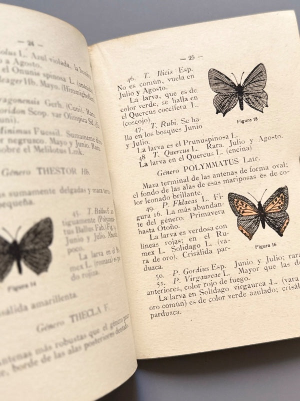Lepidópteros de Cataluña, Juan Vázquez Sans - Barcelona, 1917