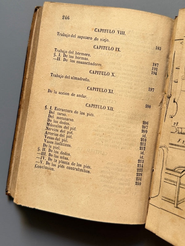 Manual del botero y del zapatero, J. Morin - Imp. de D. Francisco Diaz Pedregal, 1859