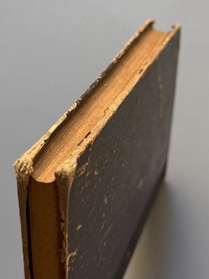Aires d'a miña terra, M. Curros Enriquez - Latorre y Martínez Editores, 1886