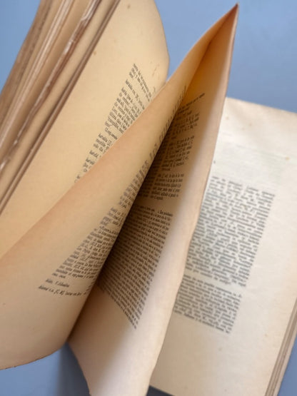 Vocabulario aranés: Tesis doctoral, Juan Corominas - Imprenta de la Casa de la Caridad, 1931