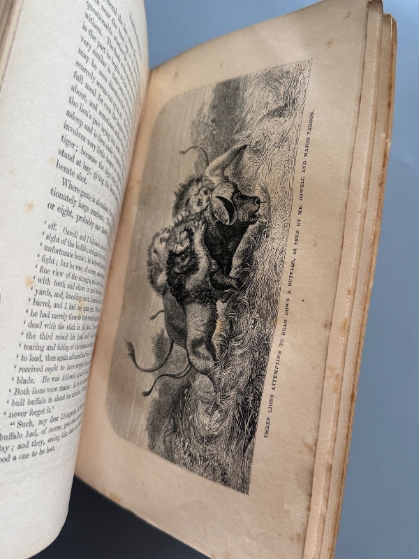 Missionary travels and researches in south Africa, David Livingstone - John Murray, 1857