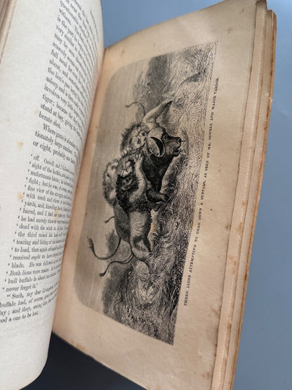 Missionary travels and researches in south Africa, David Livingstone - John Murray, 1857