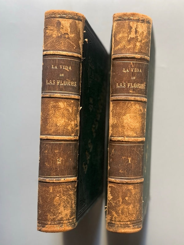 La vida de las flores, Alfonso Karr y Taxile Delord - Tipo-litografía de Celestino Verdaguer, 1878