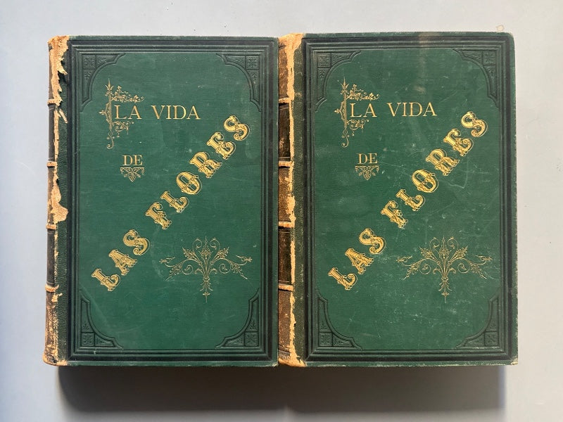La vida de las flores, Alfonso Karr y Taxile Delord - Tipo-litografía de Celestino Verdaguer, 1878