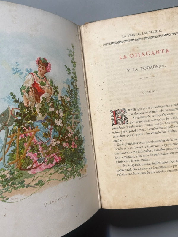 La vida de las flores, Alfonso Karr y Taxile Delord - Tipo-litografía de Celestino Verdaguer, 1878