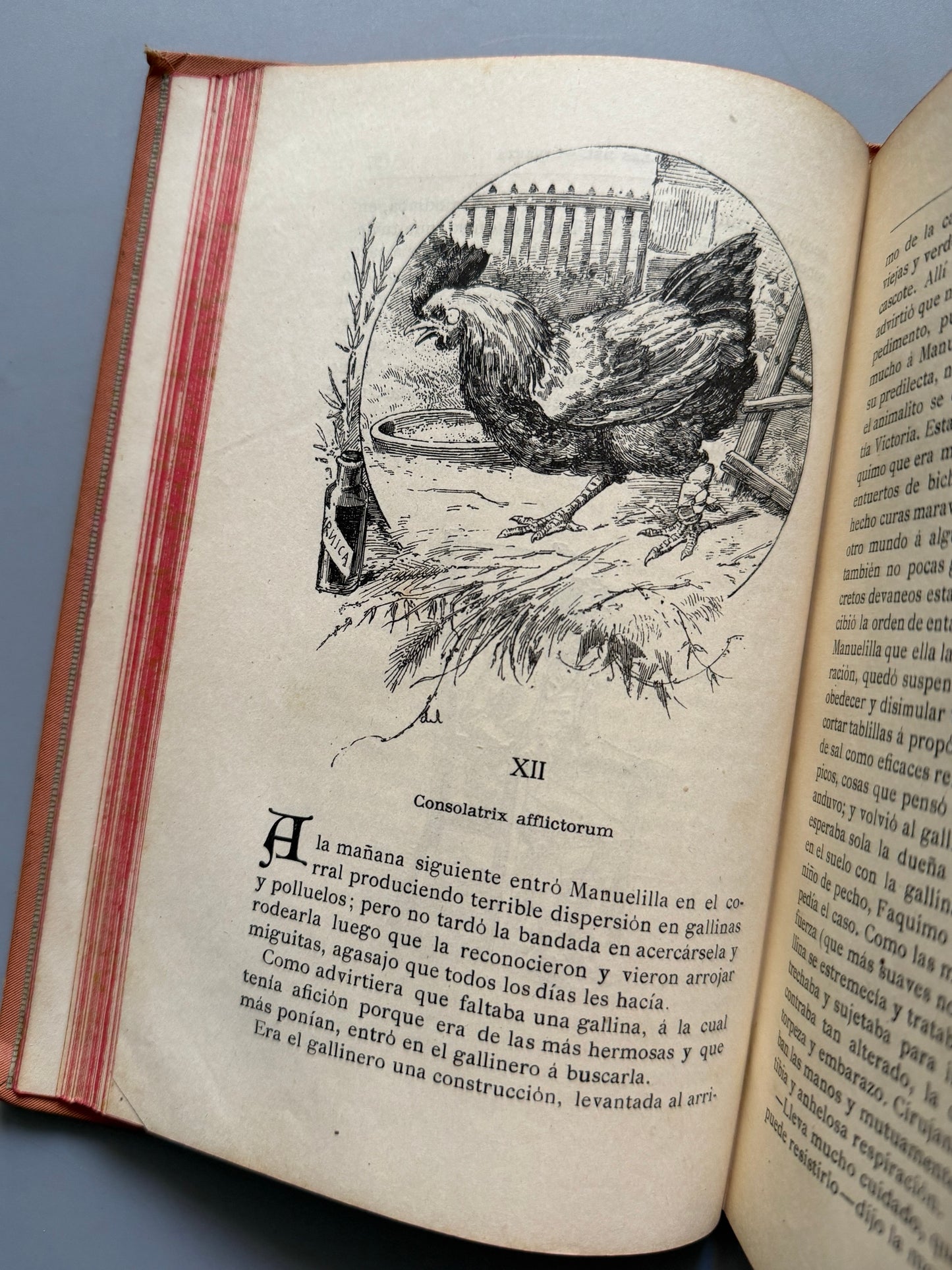 Libro de: A orillas del Guadarza, J. Ramón Mélida - Biblioteca Arte y Letras, 1887