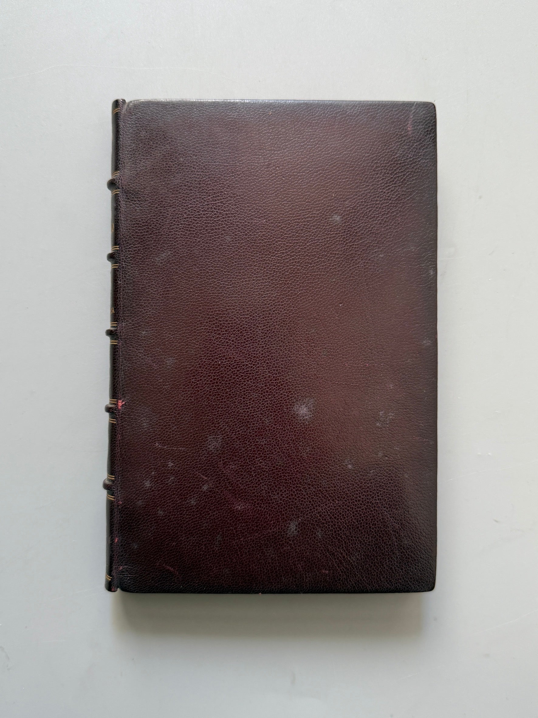 Libro de: Manual de forasteros en Valencia, J. G. - Libreria de Julian Mariana, 1841