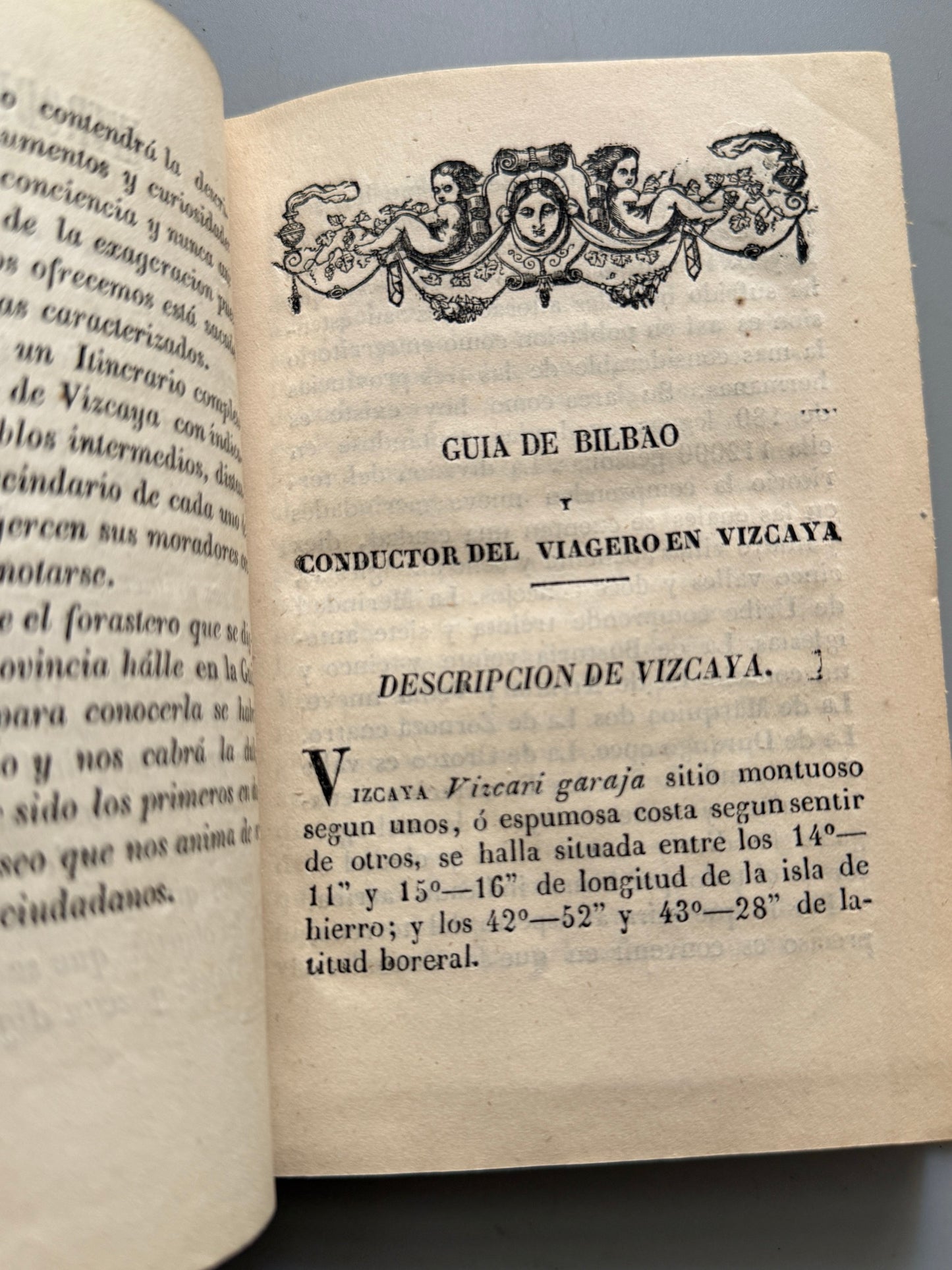 Libro de: Guia de Bilbao y conductor del viagero en Vizcaya - Imprenta de Adolfo Depont, 1846