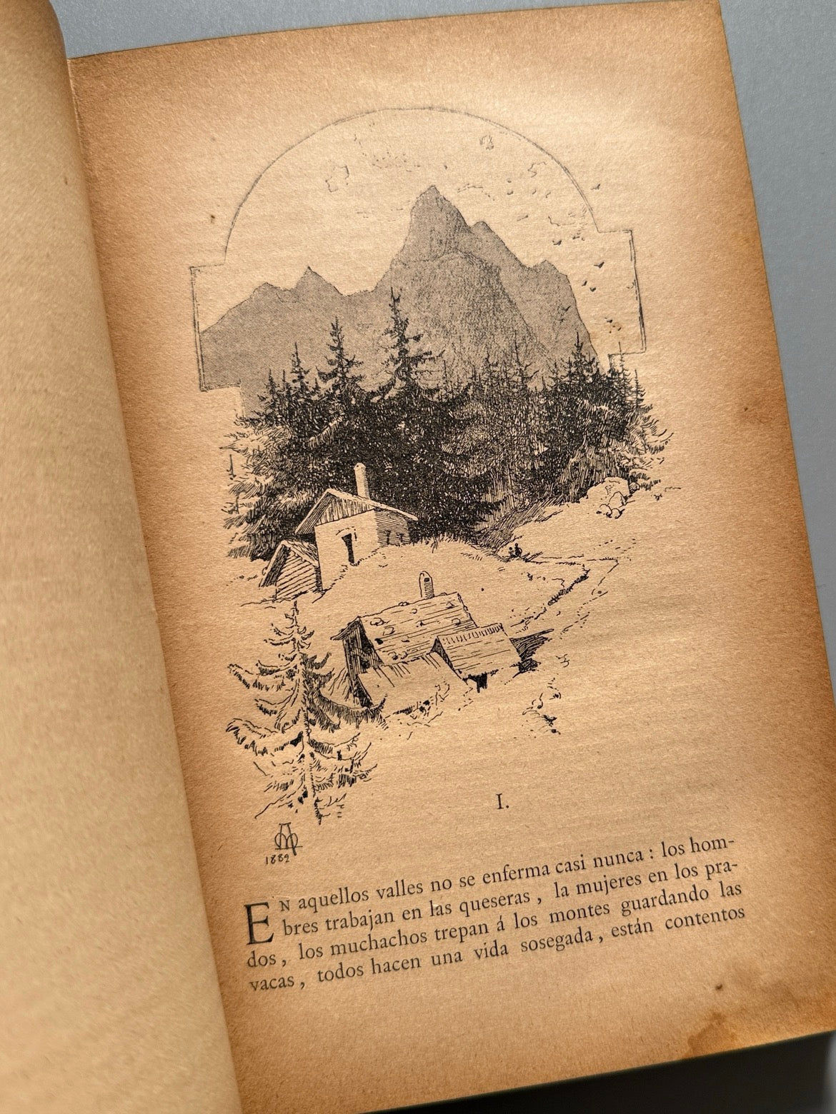 Libro de: Novelas, Salvador Farina - C. Verdaguer, Impresor-editor, 1882
