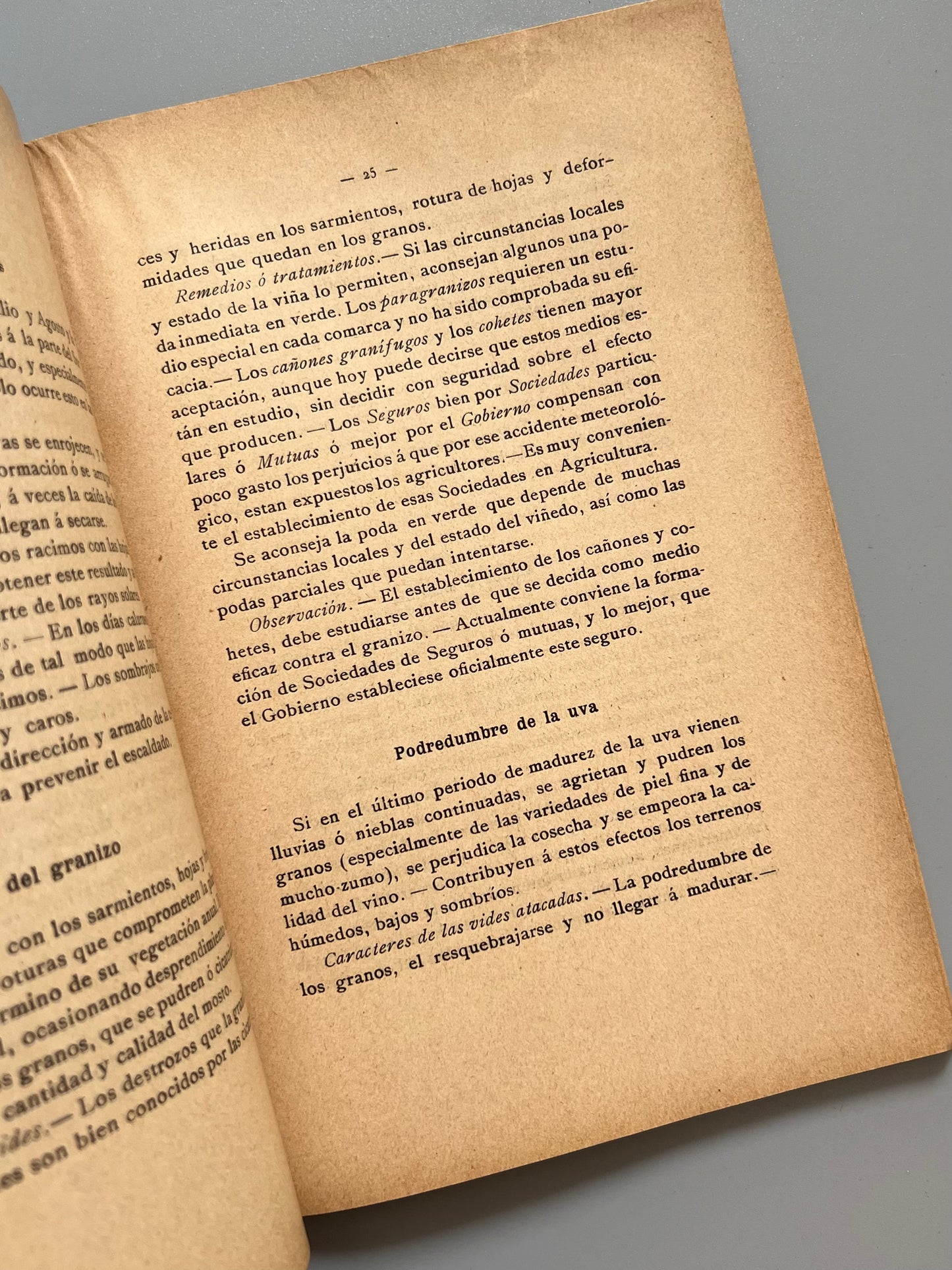 Accidentes, enfermedades y plagas que atacan la vid, Hermenegildo Gorría - José Peix editor, ca. 1900