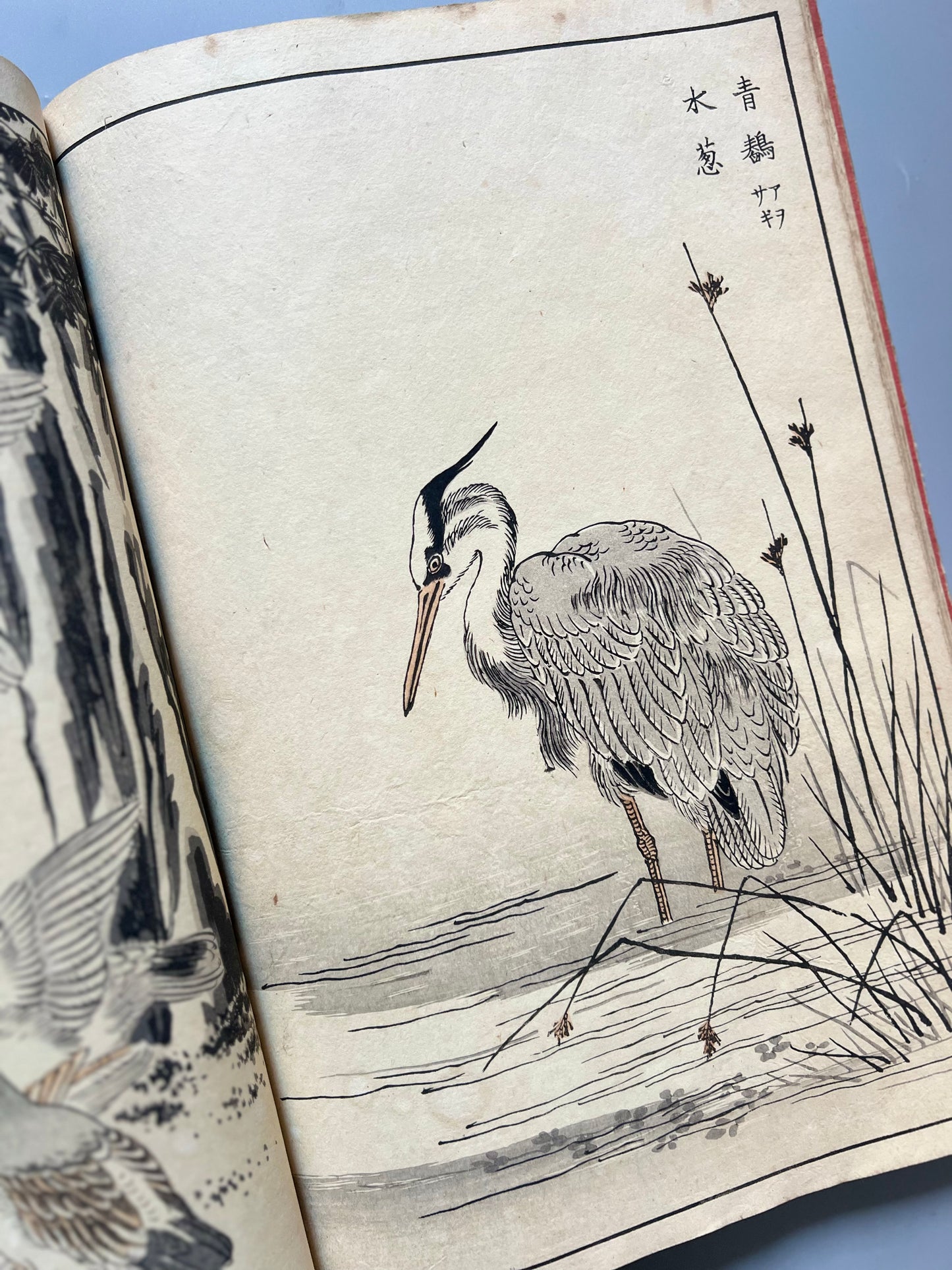 Bairei Hyakucho Gafu Zoko-hen (El álbum de los cien pájaros de Köno Bairei), volumen I - Okura Magobei, ca. 1884