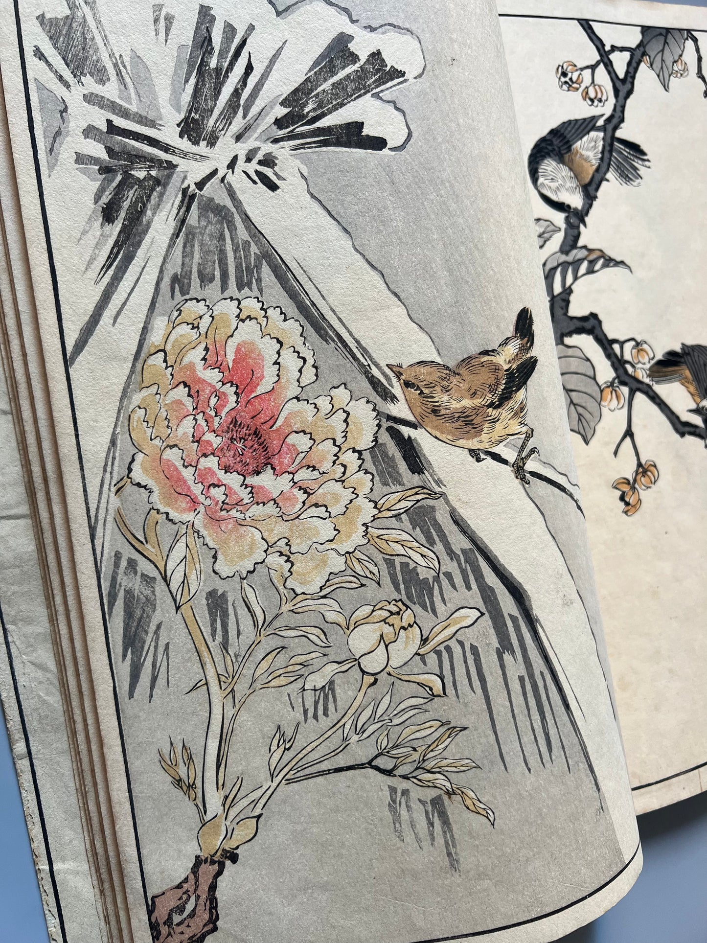Bairei Hyakucho Gafu Zoko-hen (El álbum de los cien pájaros de Köno Bairei), volumen I - Okura Magobei, ca. 1884