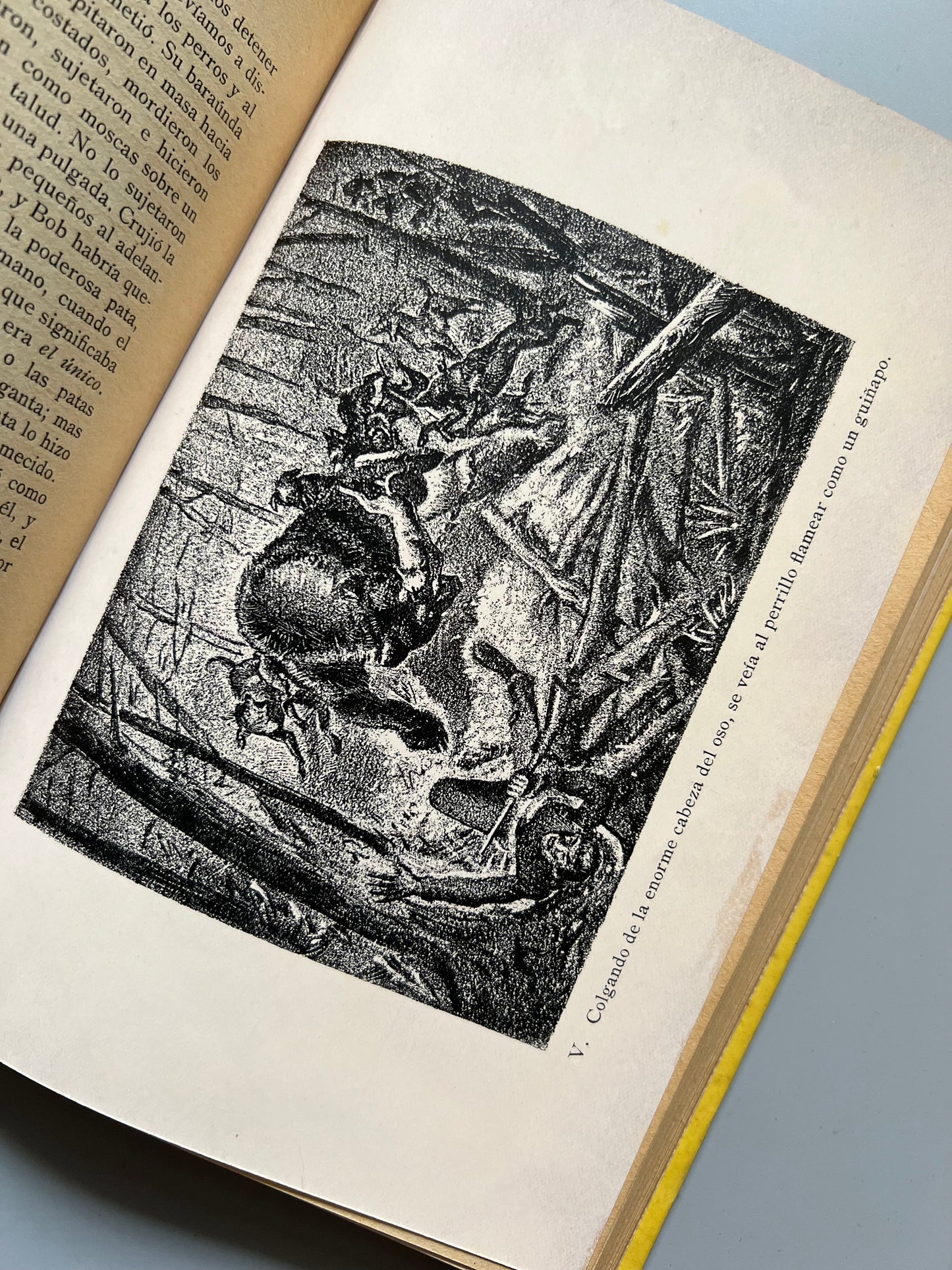 Costumbres de animales salvajes, Ernest Thompson Seton - Ediciones Leo, 1932