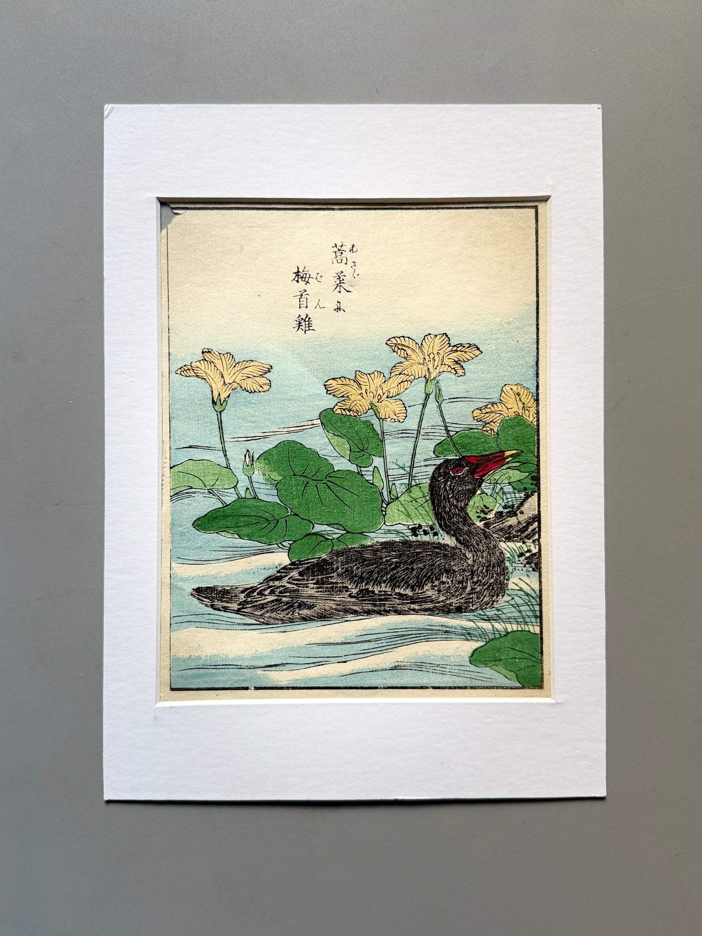 Grabado japonés ornitológico y botánico - s.XIX