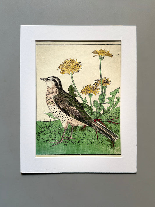 Grabado japonés ornitológico y botánico - s.XIX