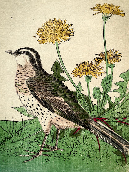 Grabado japonés ornitológico y botánico - s.XIX