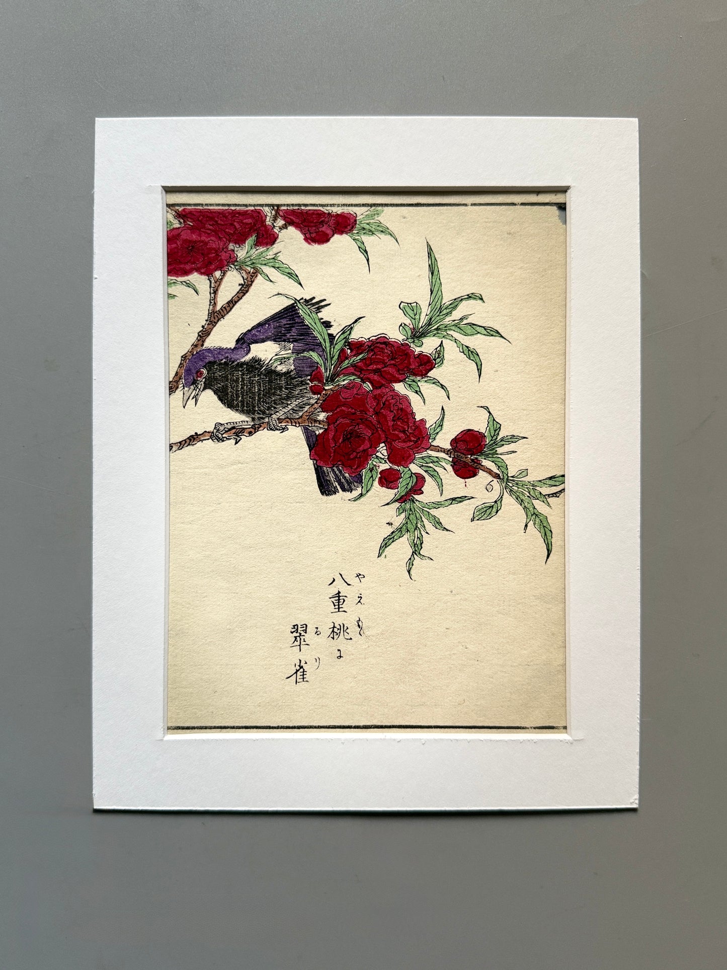 Grabado japonés ornitológico y botánico - s.XIX