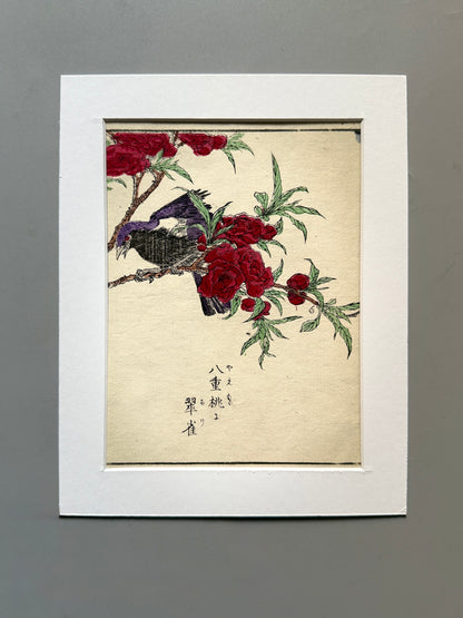 Grabado japonés ornitológico y botánico - s.XIX