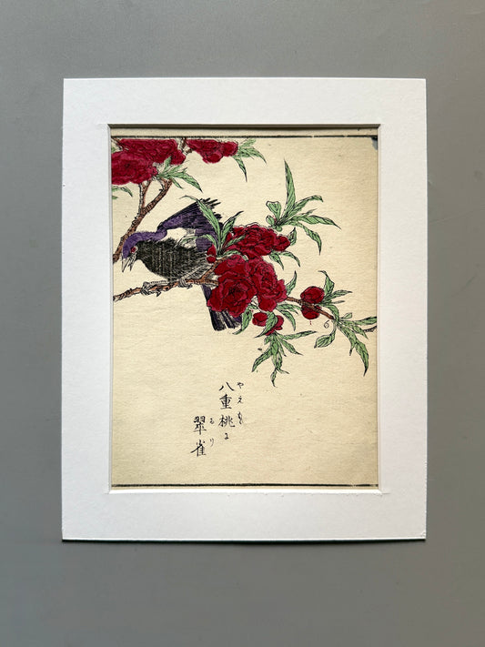 Grabado japonés ornitológico y botánico - s.XIX