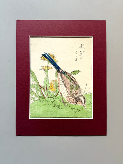 Grabado japonés ornitológico y botánico - s.XIX