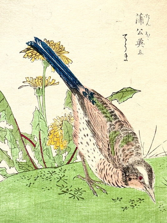 Grabado japonés ornitológico y botánico - s.XIX