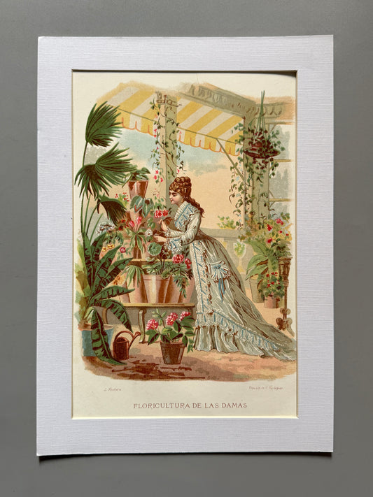 Cromolitografía "floricultura de las damas" - La vida de las flores, 1878