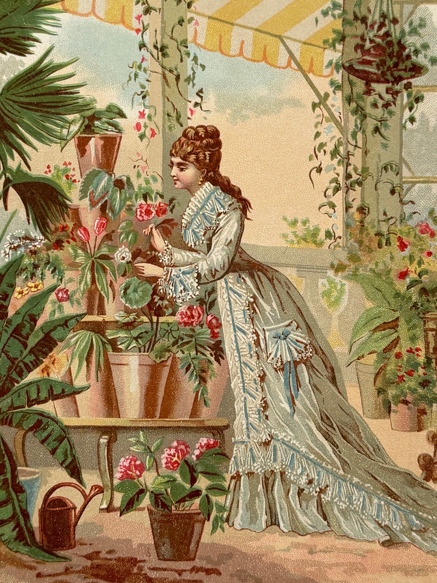 Cromolitografía "floricultura de las damas" - La vida de las flores, 1878