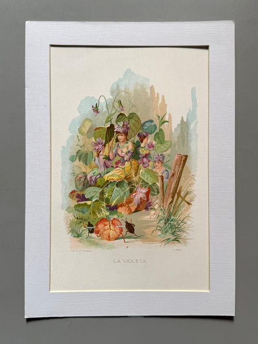 Cromolitografía La Violeta - La vida de las flores, 1878