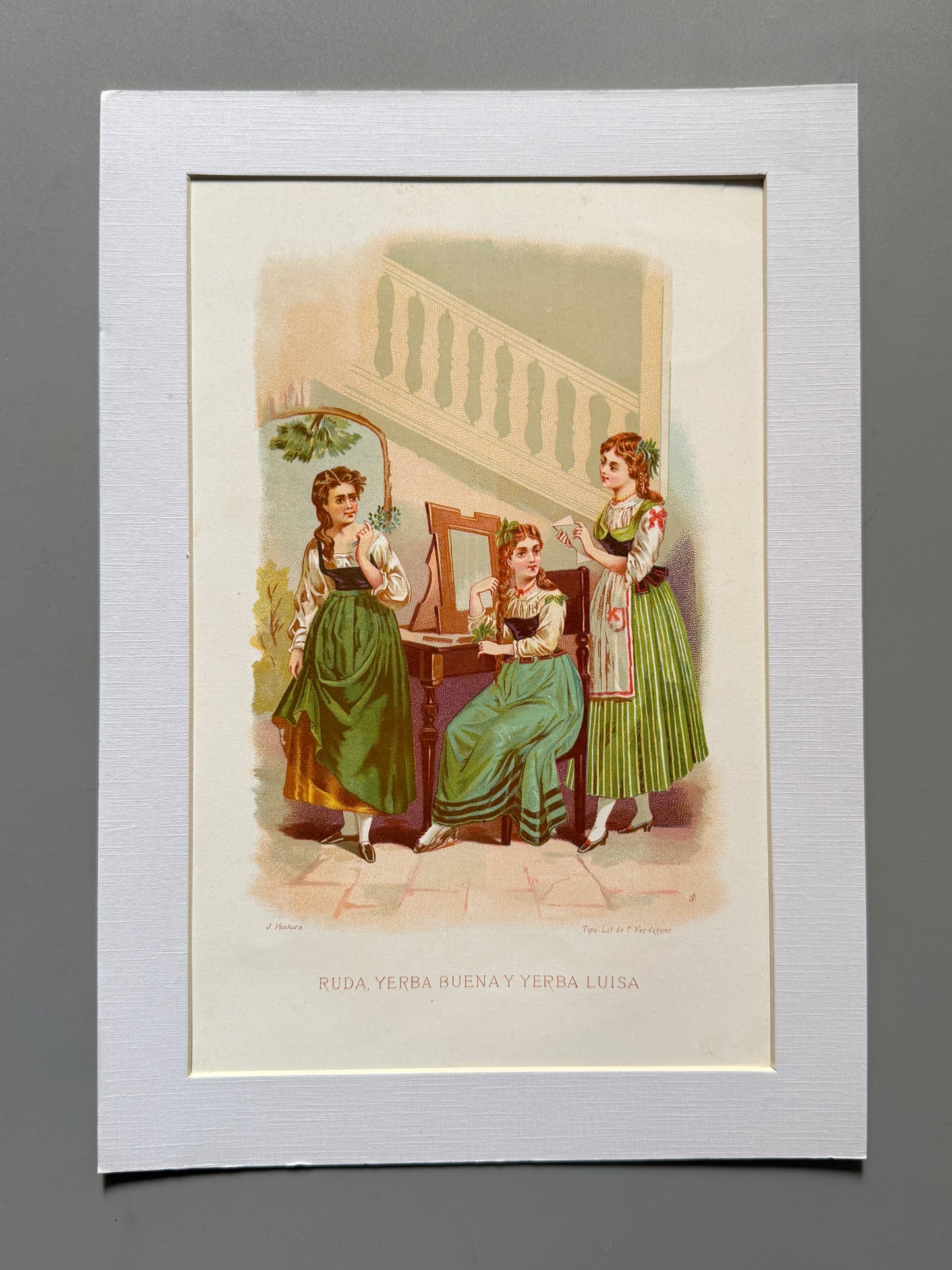 Cromolitografía Ruda, hierba buena y hierba luisa - La vida de las flores, 1878