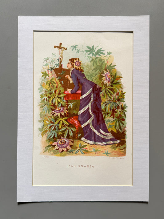 Cromolitografía Pasionaria - La vida de las flores, 1878